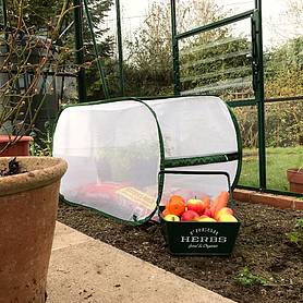Pop Up Insect Mesh Garden Grow Bag Cover & Vegetable Cloche